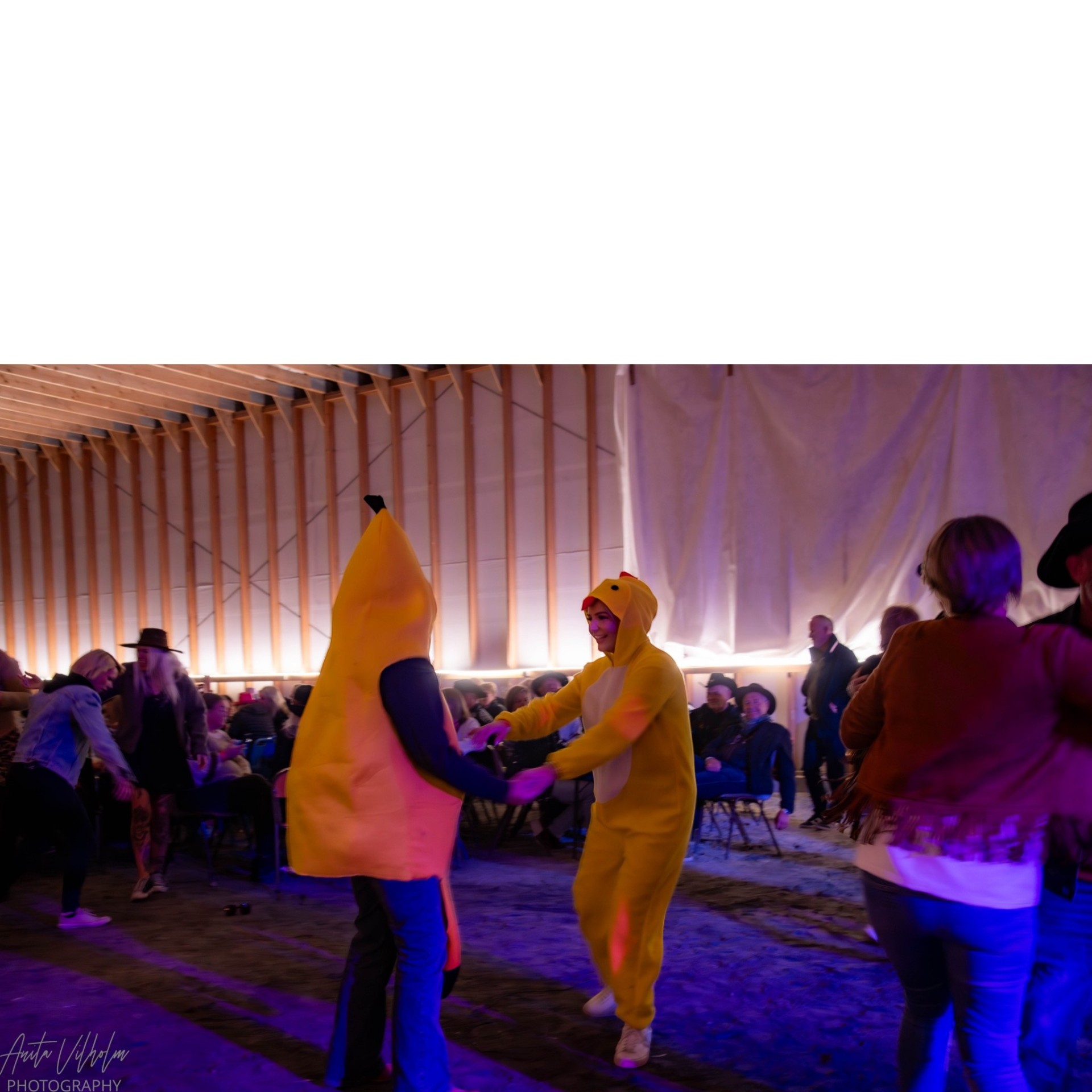 Banan og kylling danser i låven